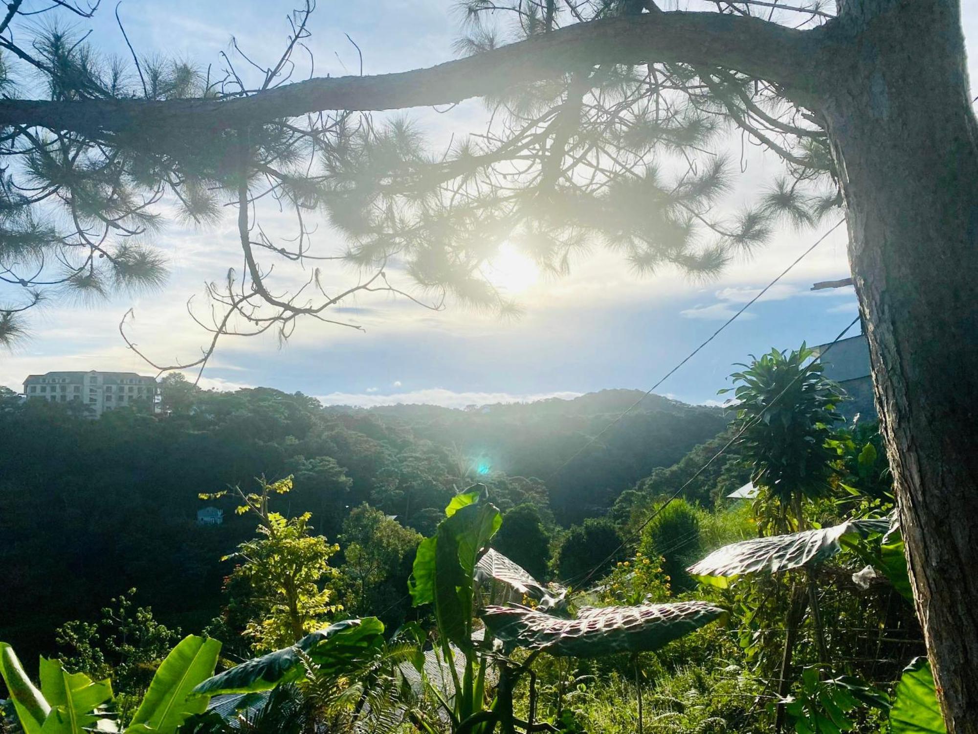 May Trang Villa 大叻 外观 照片